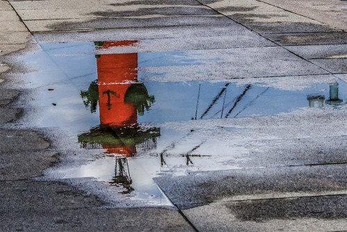 Rostral Column in a puddle