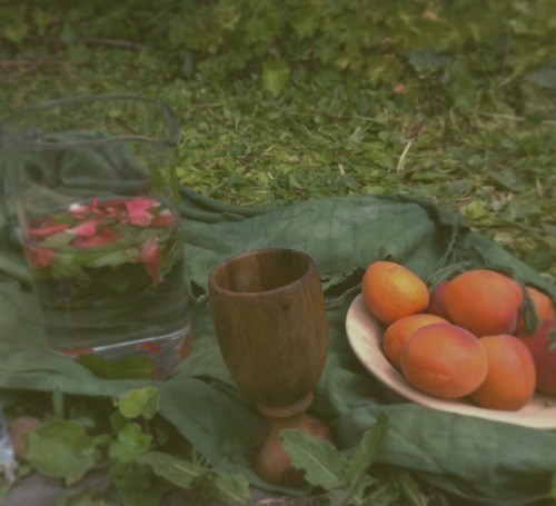 …vegetables … flowers … fruits … and a magical fairy day in my garden&he