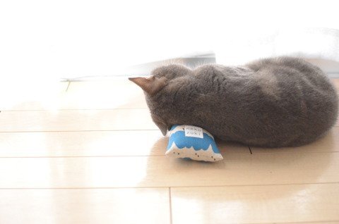 carudamon119:  うだま‏@udama1212けりぐるみで、うちの猫に遊んでもらったhttp://udama.jp/toy-2/   
