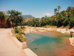 oummk:  Paradise valley in morocco. Magical place. This picture barely captures it 🌴 