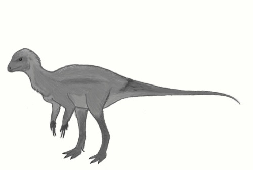 Heterodontosaurus sketch 