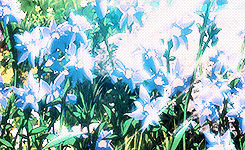 valhallasgoddess:                          "Eren, why are you crying?"
