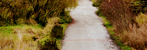 reginamlls-deactivated20180621:Storybrooke will no longer exist..it won’t ever have existed.