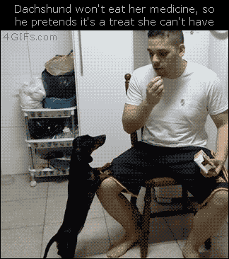 4gifs:  Psych! [video]