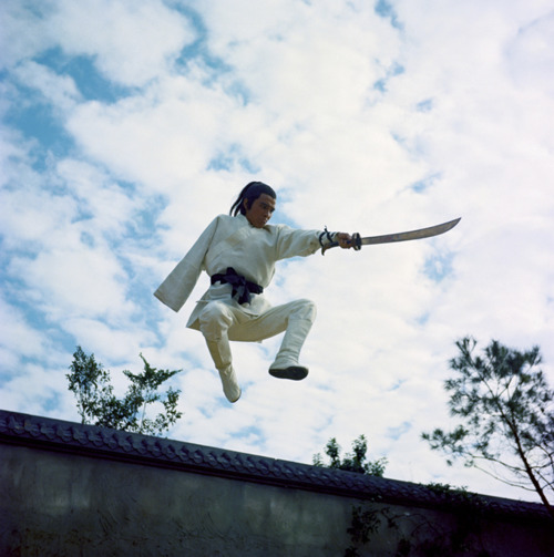 XXX gutsanduppercuts:  The New One-Armed Swordsman photo