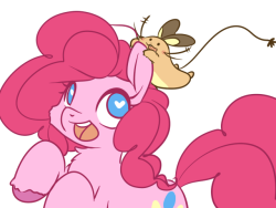 dailydenne:Best Pone + Best Narcis
