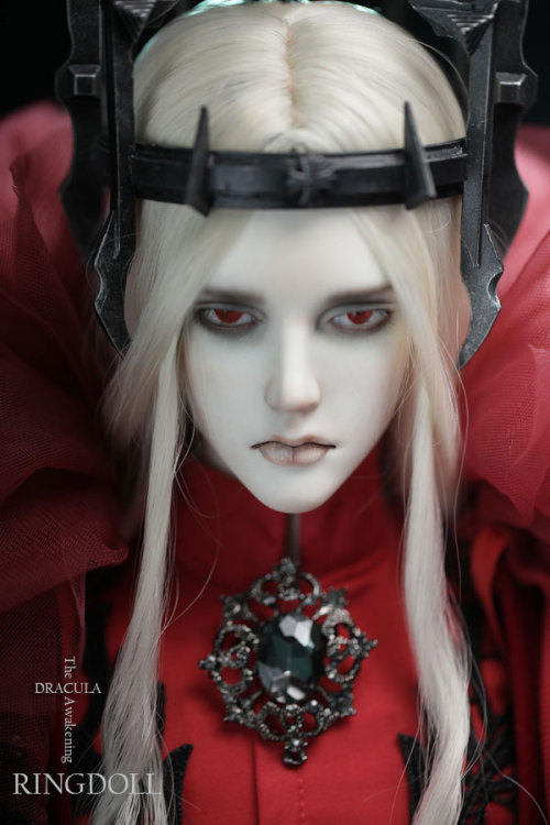 ringdoll:  New release of Ringdoll–Dracula.Dracula is a limited edition with unique style, can be purchased from Feburary 14th, 2015 to May 14th, 2015.This edition will be discontinued when limited purchased time ends but the basic doll(without make-up)