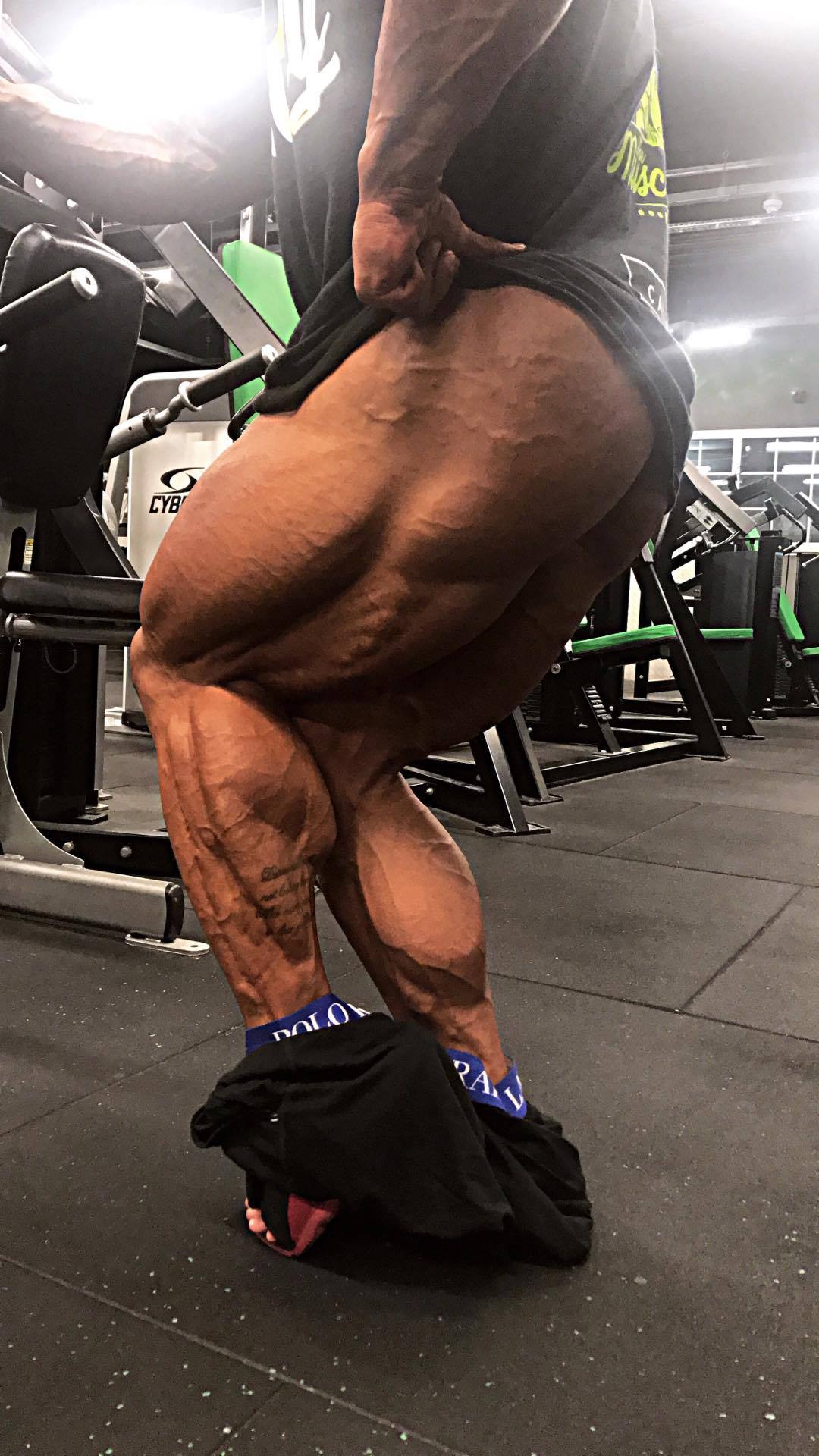 Rob Taylor
