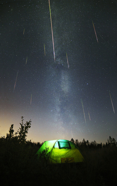 Camping under perseids in 2015by: Mikhail Reva