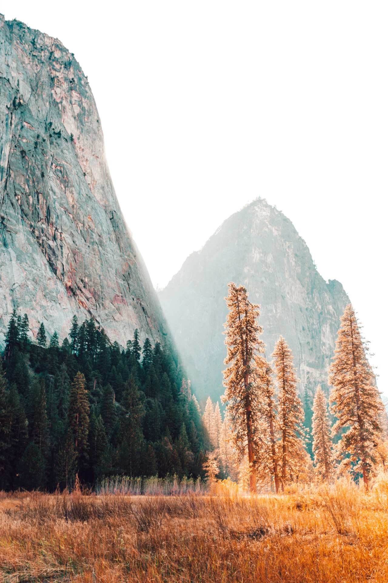ponderation:  Yosemite Sunlight by HaydenScott  