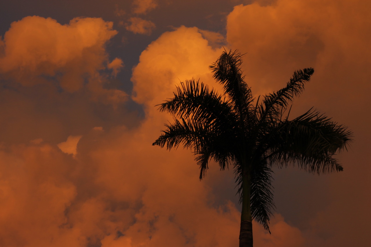 Sunset in Nuevo Vallarta, Nayarit MX
The sky really looked like this. The clouds brillaban anaranjados, it was incredible.
July 2014
🍊