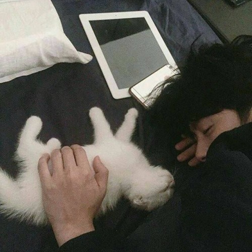 Wen Junhui As A Cat Dad.