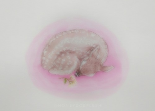 honeydoeflesh: sleepy fawn