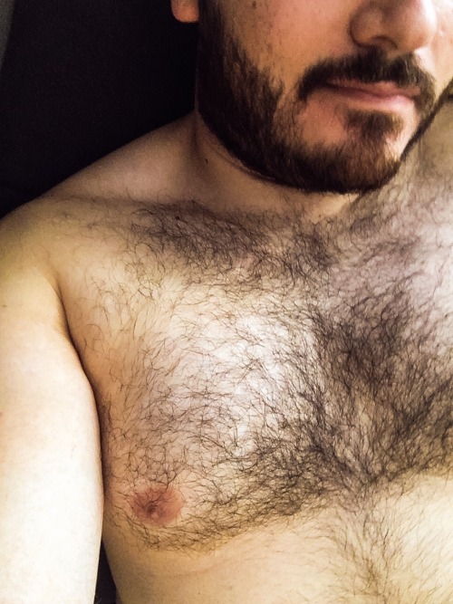 http://mrnopantsnoway.tumblr.com/post/136958609341