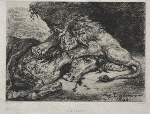 Lion Devouring a Horse, Eugène Delacroix, 1844, Cleveland Museum of Art: PrintsSize: Sheet: 2