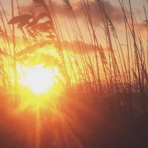 6:52 am &amp; is there any more to that yellow sarong? #365projects #365sunrisesx2 #sunrise #pensaco