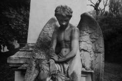 colettesaintyves:  Cemetery in Budapest on