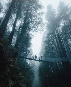 wanderlog:  British Columbia. Photo: @itsbigben #britishcolumbia #nature #landscape #scenery #explore #travel #adventure #photography #wanderlog #fog