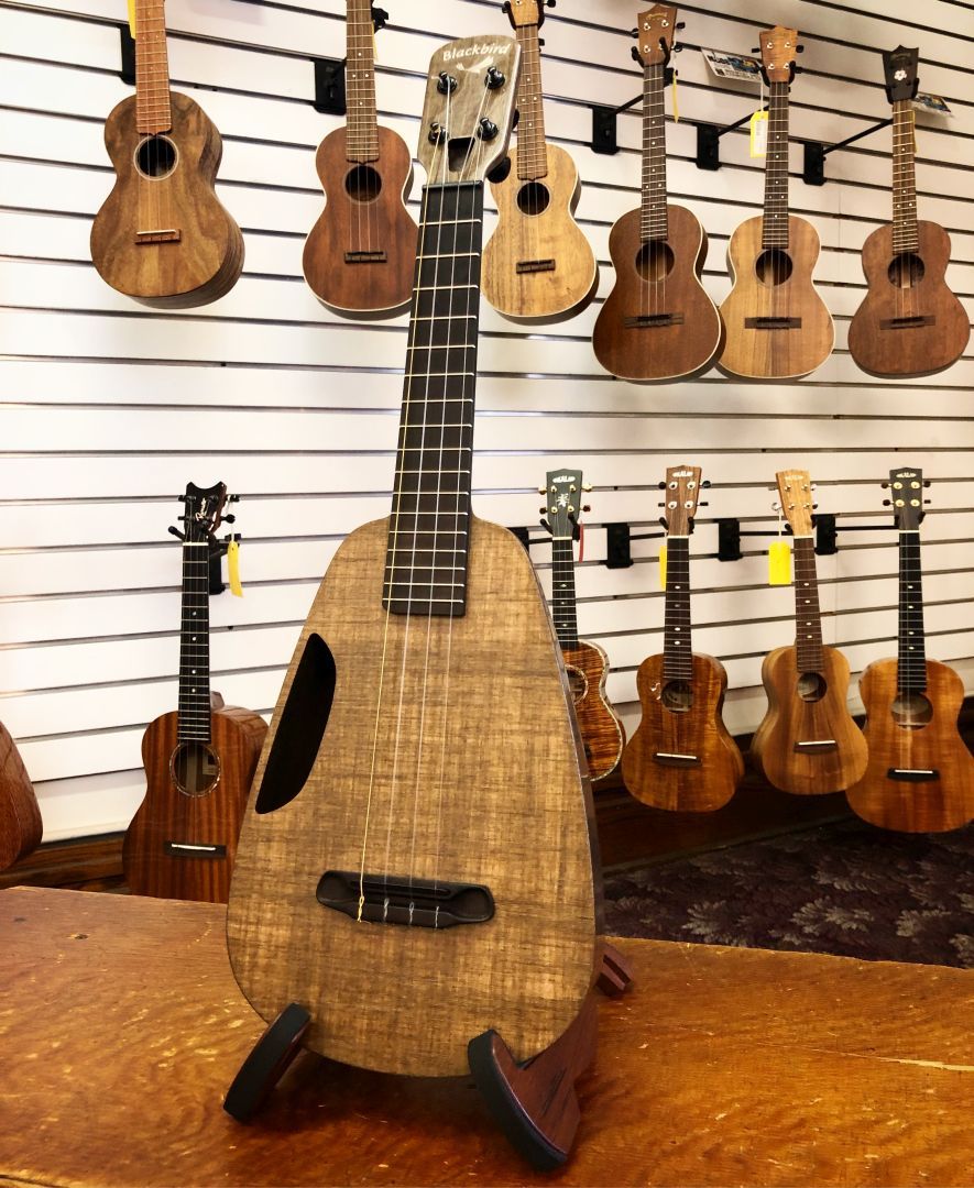 Elderly Instruments — The Blackbird Clara concert ukulele is made from...