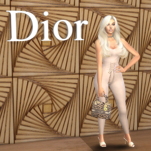 | Dior Fall 2021 Collection | ◾ Deco Book Tote &amp; Lady Dior Bag   DOWNLOAD [Early a