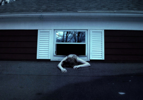 221 by Rachel Baran 