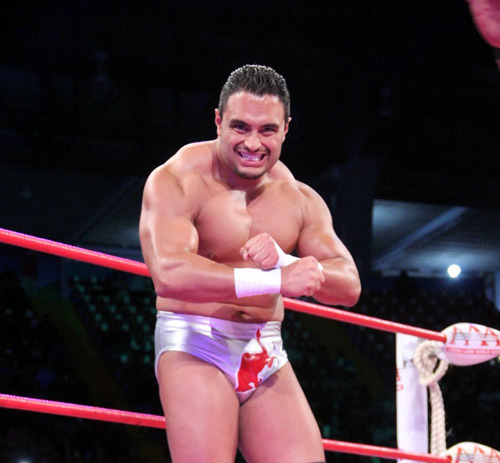 A Luchadork