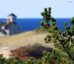 everythingcapecod:  Race Point - Provincetown