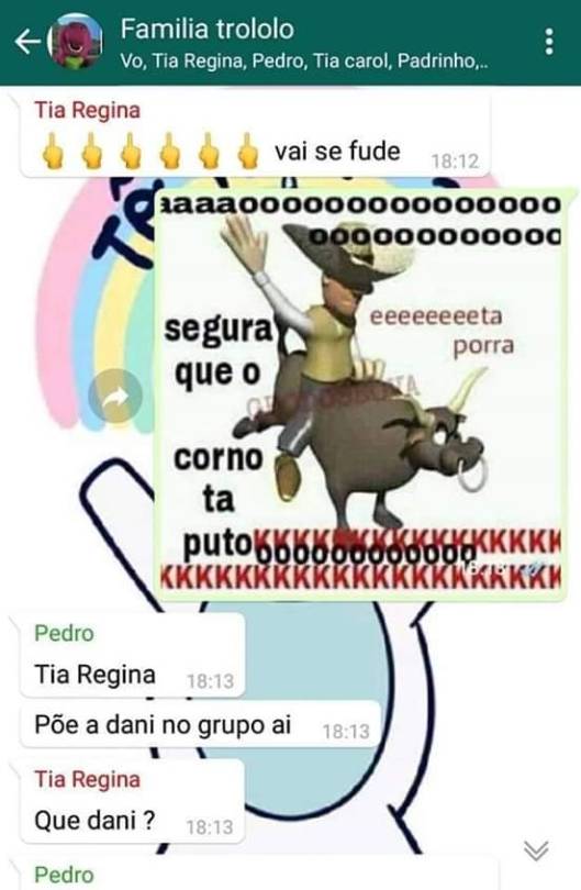 unicornio-descolorido: brutamente-meiga:   brutamente-meiga:   Enquanto isso no grupo da família…. Nos grupos eu sou o Pedro e o Lucas   Mais um round dessa família maravilhosa   Eu não sei quem é essa garota, mas quero ela como amiga, pra sempre!!!