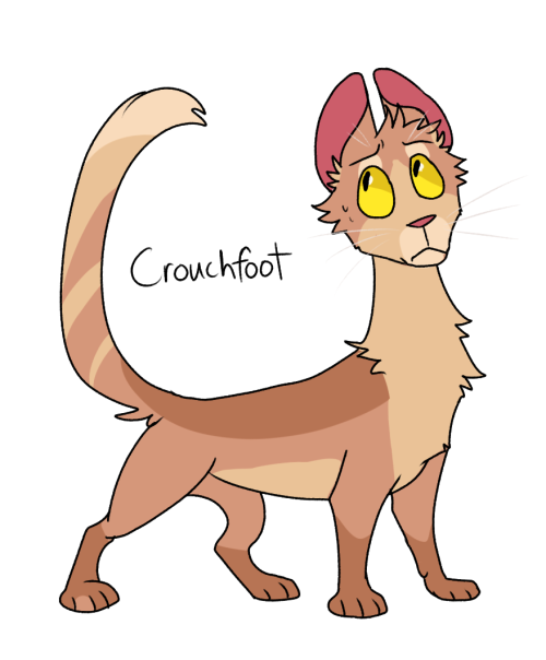#crouchfoot#warrior cats#warriors#wc#windclan#oots#avos#tbc #every cat challenge tag