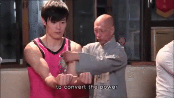 realanimetraining:  buddhist-martial-way:Basic Principles of Southern Mantis Kung