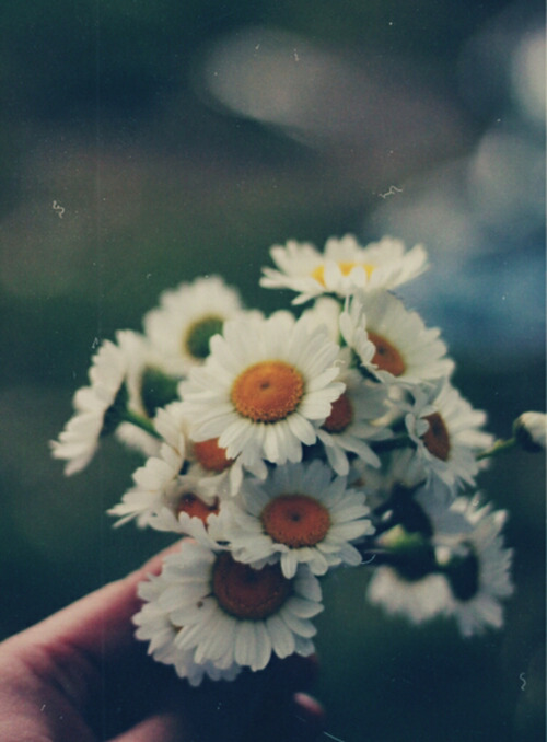 p-u-r-s-u-e:  .