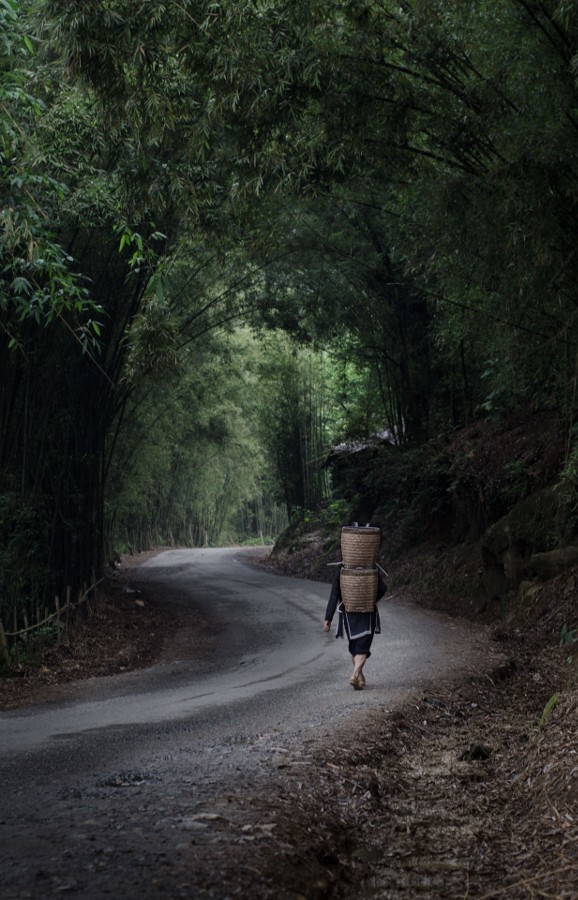 socialfoto:
“ Green Tunnel by tivomx314
”