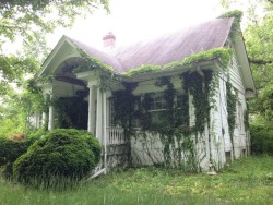 abandonedandurbex:  House overtaken by vines. [1280×959].