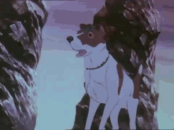 rufftoon:renaldomoons:movie meme:favourite “nooneknowit” movie → The Plague Dogs (1982)“I’ve only go
