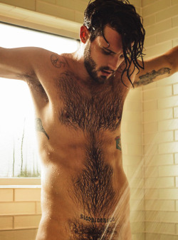 Hairy Male Celebrities