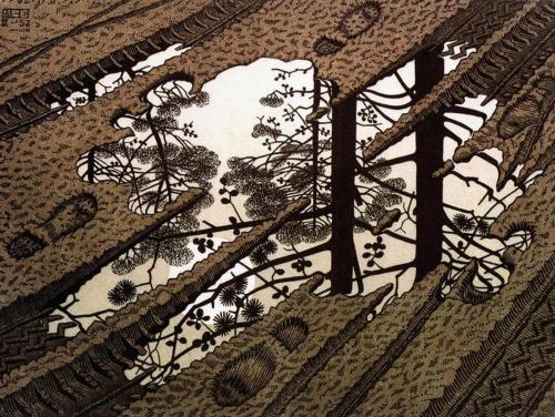 MWW Artwork of the Day (4/3/16)M.C. Escher (Dutch, 1898-1972)Puddle (February 1952)Woodcut in black,