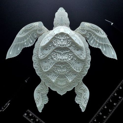 thedesigndome: Elaborate Paper Sculptures of Endangered Animals Patrick Cabral, an artist based in P