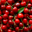 cherrysticker