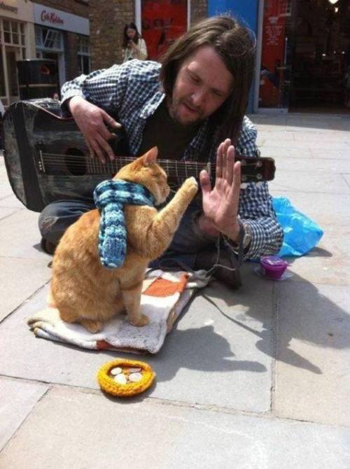 mutenostrilagony:  sephiramy:  ourloveissemperfii:  “One day in the subway, James saw a red cat with a wound to the leg that likely resulted from a fight with another cat. It was obvious that the cat needed help. James could not pass and took the