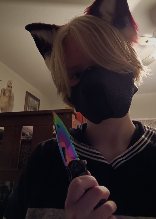 Reblog If You'd Let This Silly Pup Rant To You About His Favorite Knives.