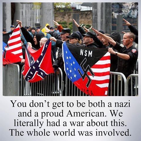 in-all-conscience: undeservingservant777:  they arent nazis you braindead American
