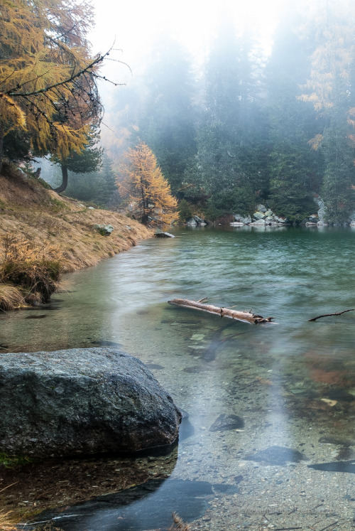 intothegreatunknown: Lago di Bitabergh | Switzerland (by Max Tremolizzo)