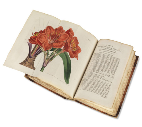 William Curtis, The botanical magazine or Flower-Garden Displayed, launched 1787. London. Shown is O