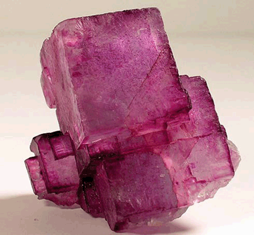 fuckyeahmineralogy:The many color variations of Fluorite. Pure fluorite is actually colorless; its i