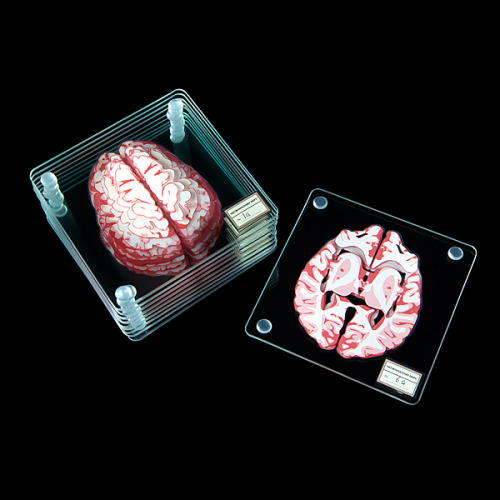 itscolossal:Stackable Brain Specimen Coasters Reveal a 3D View of the Human Brain