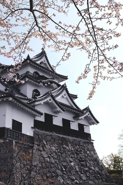 luxuryera:  Hikone Castle | Source