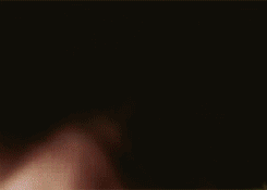 storytellingextraordinaire:  Valley of Bats 