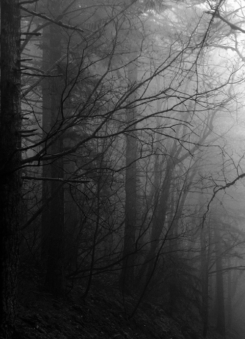 Elegy for a Dream