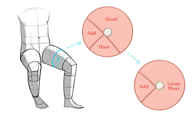 stanprokopenko:  How to Draw Legs – The Adductors     We’re done having fun with