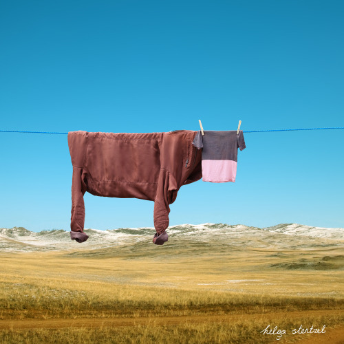itscolossal:Clothesline Farm Animals Graze the Countryside in Playful Illusions by Helga Stentzel